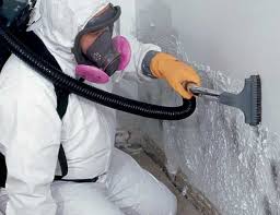 Best Mold Remediation for Healthcare Facilities  in Red Lake, MN